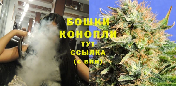 винт Рославль