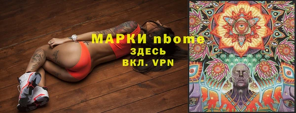 стаф Приозерск